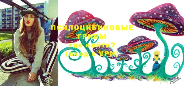 эйфоретик Аркадак