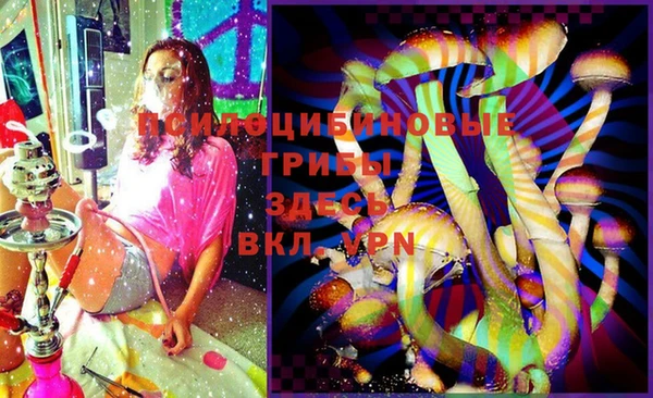 ГАЛЛЮЦИНОГЕННЫЕ ГРИБЫ Арсеньев