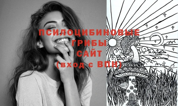 сатива Покачи