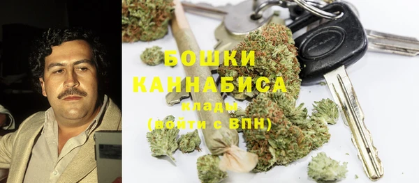 ГАЛЛЮЦИНОГЕННЫЕ ГРИБЫ Арсеньев